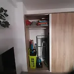 Gaviota Blanca